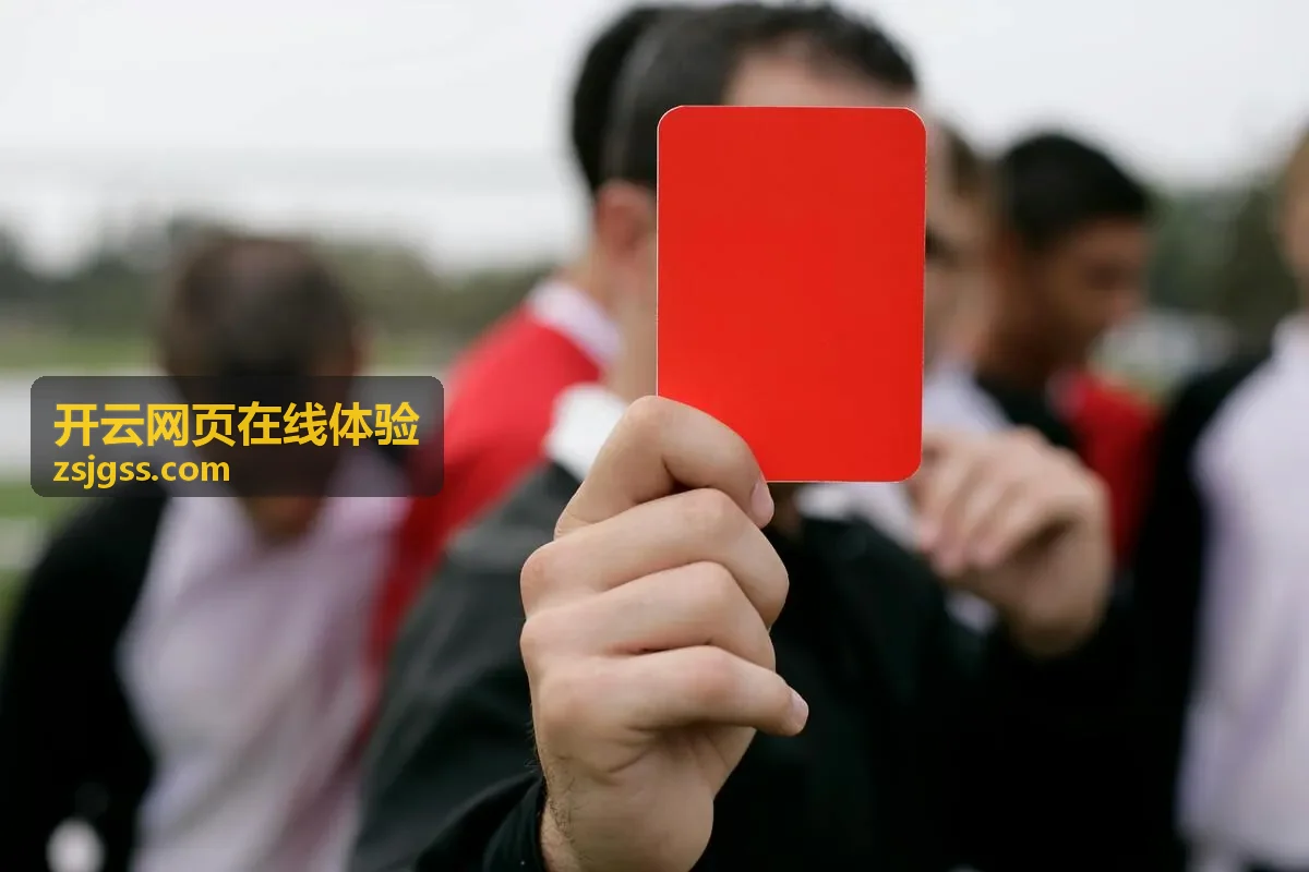 开云网页在线体验功能演示区块截图